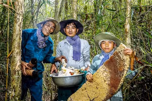 Gia đình 3 thế hệ ông Trần Út Nhì vào rừng ăn ong. Ảnh: Nguyễn Thanh Dũng.