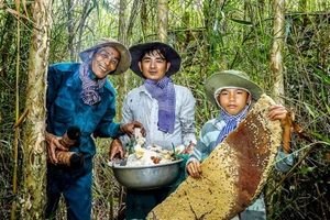 Gia đình 3 thế hệ ông Trần Út Nhì vào rừng ăn ong. Ảnh: Nguyễn Thanh Dũng.