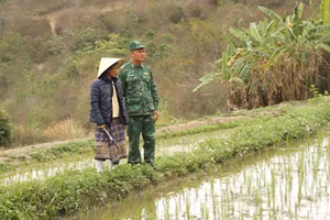 Thiếu tá Pịt Văn Mương, Đồn Biên phòng Mường Ải hướng dẫn bà Hoa Mẹ Ngành sản xuất lúa vụ Đông Xuân.
