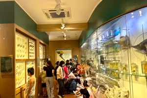 Các em nhỏ tới Bảo tàng Thiên nhiên để vừa khám phá sự kỳ thú của thiên nhiên, vừa được trải nghiệm với các tiêu bản động vật.