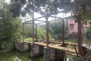 Phần đất của gia đình ông Phạm Hữu Vọng và bà Phạm Thị Nguyên bị Nhà nước thu hồi để thực hiện dự án xây dựng Trạm bơm tiêu Đông Mỹ.