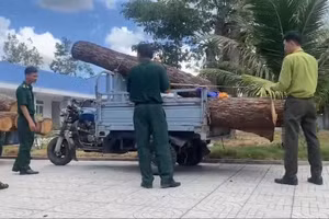 Đồn Biên phòng Phước Thuận và các lực lượng chức năng tiến hành kiểm đếm tang vật vụ việc.