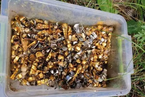 Hộp răng vàng lực lượng Ukraine cáo buộc lực lượng Nga có được khi tra tấn dân thường.