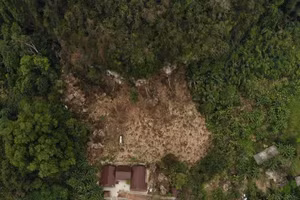 Diện tích rừng đặc dụng bị hủy hoại.