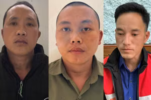 3 đối tượng bị cơ quan công an bắt tạm giam.