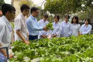 Thầy và trò Trường THPT chuyên Lào Cai, tỉnh Lào Cai trong phòng thí nghiệm ngoài trời với mô hình trồng rau thủy canh. Ảnh: NTCC