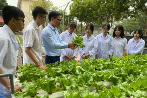 Thầy và trò Trường THPT chuyên Lào Cai, tỉnh Lào Cai trong phòng thí nghiệm ngoài trời với mô hình trồng rau thủy canh. Ảnh: NTCC