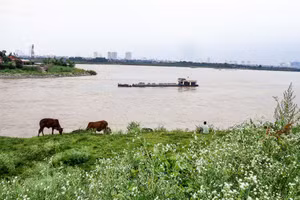 Ảnh minh họa: ITN