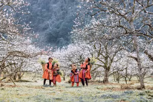 Mùa Xuân trên khắp bản làng Tây Bắc. Ảnh minh họa: INT