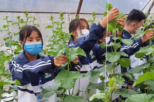 Sinh viên Trường Cao đẳng Nghề Điện Biên trải nghiệm nghề nghiệp thực tế tại Vườn thực nghiệm.