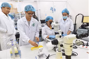 Nghiên cứu khoa học ở Phòng thí nghiệm trọng điểm ĐHQG TP Hồ Chí Minh. Ảnh: NTCC 