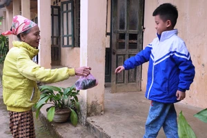 Bà đưa cơm cho cháu ăn trưa ở điểm lẻ Tân Sơn – Trường Tiểu học Thanh Xuân (Quan Hóa, Thanh Hóa).