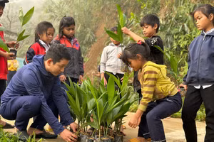 Học sinh Trường Phổ thông Dân tộc Bán trú Tiểu học Trà Tập (Nam Trà My, Quảng Nam) tham gia phong trào Tết trồng cây đời đời nhớ ơn Bác Hồ. 