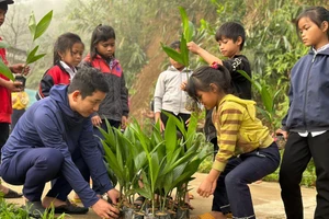 Học sinh Trường Phổ thông Dân tộc Bán trú Tiểu học Trà Tập (Nam Trà My, Quảng Nam) tham gia phong trào Tết trồng cây đời đời nhớ ơn Bác Hồ. 