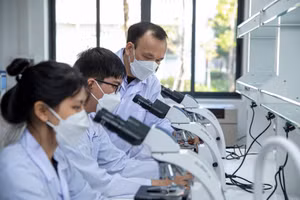 Sinh viên Trường Đại học Phenikaa trong phòng thí nghiệm. Ảnh: INT