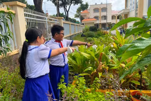 Học sinh cùng nhau chăm sóc vườn thuốc nam.