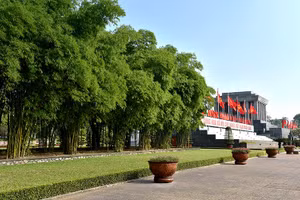 Khóm tre ngà bên lăng Bác. Ảnh: Nguyễn Đăng.