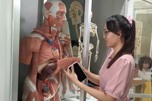 Mô hình giải phẫu cơ thể người tại Trường CĐ Viễn Đông có thể giúp sinh viên học trực tiếp và online khi quét mã QR. 