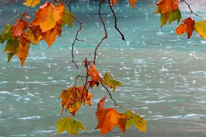 Ảnh minh họa ITN.