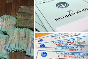 Việc sửa đổi luật nhằm bảo đảm an sinh xã hội theo hướng đa dạng, linh hoạt, đa tầng hiện đại, hội nhập quốc tế. 