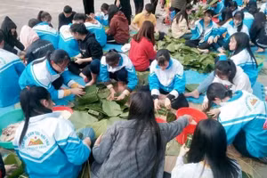 Học sinh Trường THPT Dân tộc Nội trú Thanh Hóa tham gia gói bánh chưng. Ảnh: NTCC