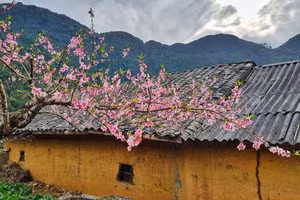 Ảnh minh họa: INT