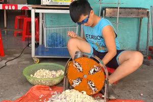 Con trai chị Võ Thị Ngọc ở thị xã Cửa Lò (Nghệ An) giúp mẹ thái tỏi. Ảnh: NVCC