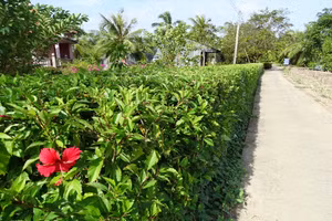 Ảnh minh họa: ITN.