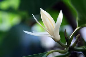 Ảnh minh họa: ITN