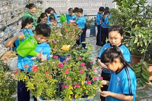 Trường Tiểu học Hoà Bình luôn nỗ lực xây dựng môi trường học tập thân thiện.