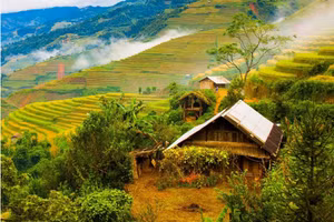 Ảnh minh họa: INT