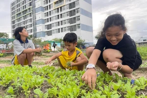 Học sinh Trường nội trú Hy vọng chăm sóc vườn rau sau giờ học.