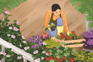 Minh họa: Tiến Thành