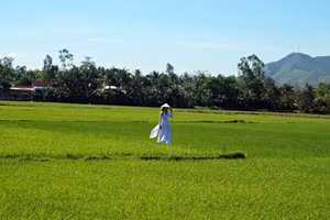 Ảnh minh họa: ITN.