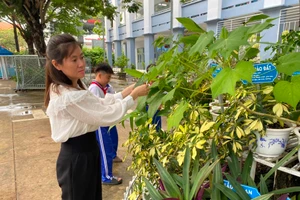 Cô và trò Trường Tiểu học Thủ Khoa Huân (TP Mỹ Tho, Tiền Giang) chăm sóc vườn thuốc Nam. Ảnh: X.Uyên