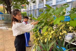 Cô và trò Trường Tiểu học Thủ Khoa Huân (TP Mỹ Tho, Tiền Giang) chăm sóc vườn thuốc Nam. Ảnh: X.Uyên