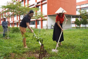 Cán bộ Giáo viên, nhân viên tích cực tham gia hoạt động trồng cây.