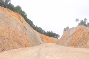 Dự án nối đường Hồ Chí Minh nhánh Đông với nhánh Tây (Quảng Trị) gặp khó vì “vướng” rừng đặc dụng.