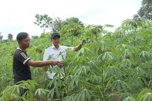 Tại xã Thanh, hiện có hơn 20 hộ gia đình tham gia “Câu lạc bộ 100 triệu”. Anh Hồ Văn Pường lúc tham gia CLB là thành viên trẻ nhất.