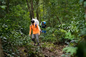 Nhân viên công ty Oxalis băng rừng mang vật liệu vào bản Đoòng xây dựng trường học cho học sinh.