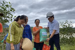 Đại diện công ty Điện lực Quảng Bình tặng quà cho bà con khó khăn.