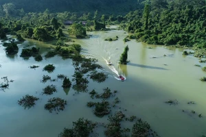 Những chuyến cano của Công ty Oxalis ứng cứu người dân vùng ngập lụt tại khu vực Phong Nha - Kẻ Bàng.