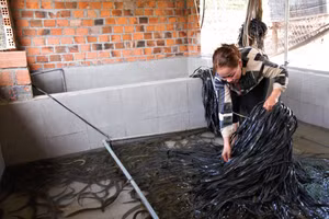 Mô hình nuôi lươn không bùn chi phí thấp, chiếm ít diện tích.