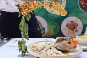 Xác lập kỷ lục Việt Nam với 120 món ăn chế biến từ sâm dây