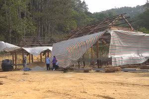 Xử phạt gần 100 triệu đồng 3 cá nhân vi phạm lĩnh vực đất đai ở Kon Tum