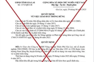 UBND tỉnh Gia Lai khẳng định quyết định giao 392ha đất cho doanh nghiệp trồng rừng là giả mạo.