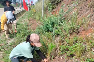 Học sinh Tu Mơ Rông cùng tham gia trồng cây để phủ xanh rừng.