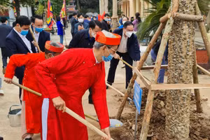 Hơn 1 nghìn cây mộc miên sẽ được trồng tại Suối Yến, Chùa Hương.
