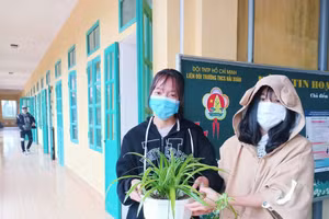 Học sinh gần gũi thiên nhiên khi hòa mình vào Tết trồng cây 