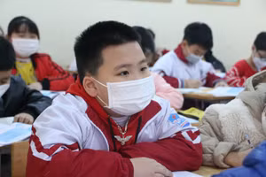 Từ ngày 23/2, học sinh từ bậc mầm non đến lớp 6 trên toàn tỉnh Hà Nam tạm dừng đến trường trong bối cảnh số ca nhiễm Covid-19 đang có xu hướng gia tăng.